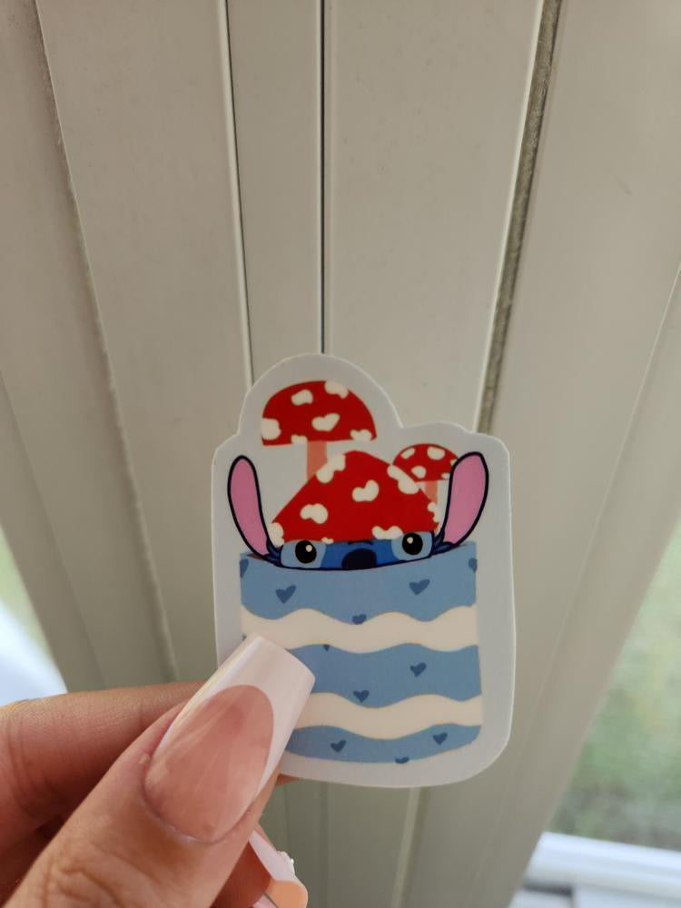 Stitch 2024 Collection